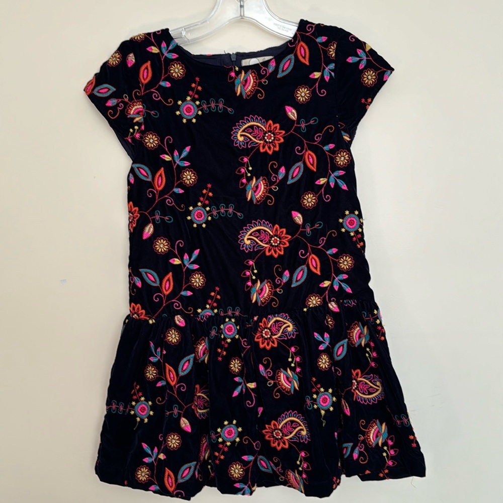 Peek Velvet Embroidered Dress